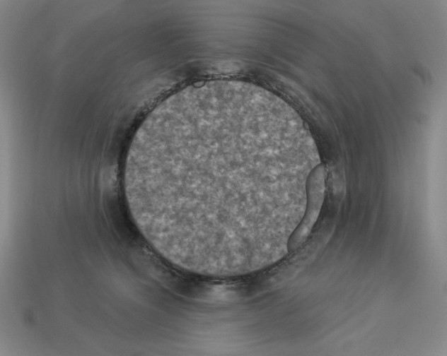 X0000112860564200910021314