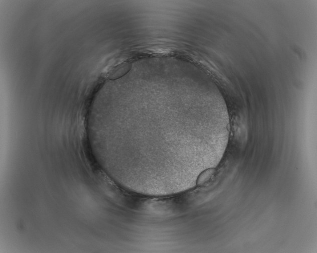 X0000112860568200910021314