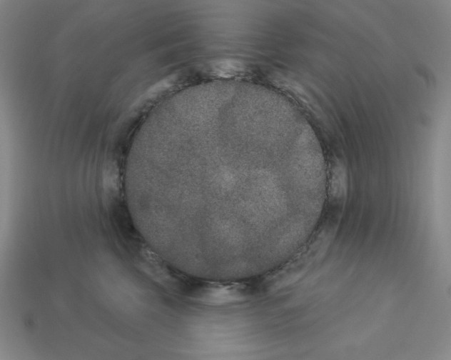 X0000112860569200910021314