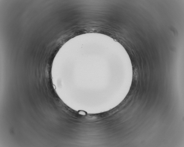 X0000112860570200910021314
