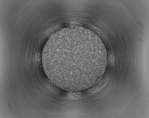 X0000112860571200910021314