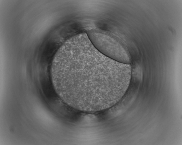 X0000112860572200910021314