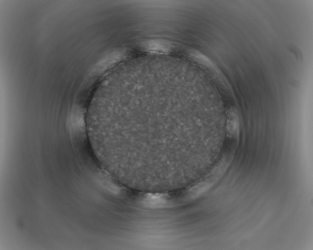 X0000112860573200910021314