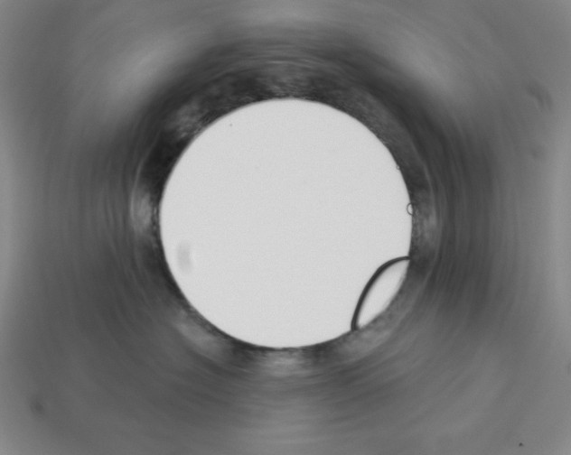X0000112860574200910021314