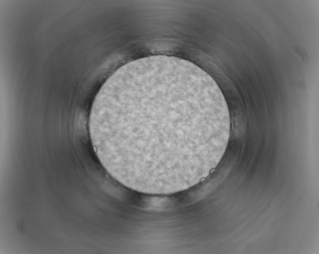 X0000112860575200910021314