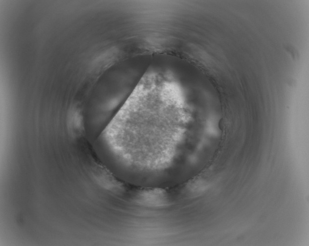 X0000112860576200910021314