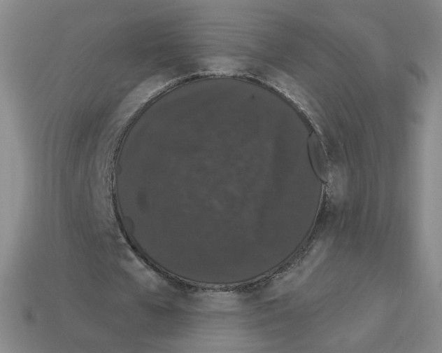 X0000112860577200910021313