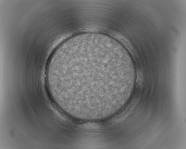 X0000112860578200910021313