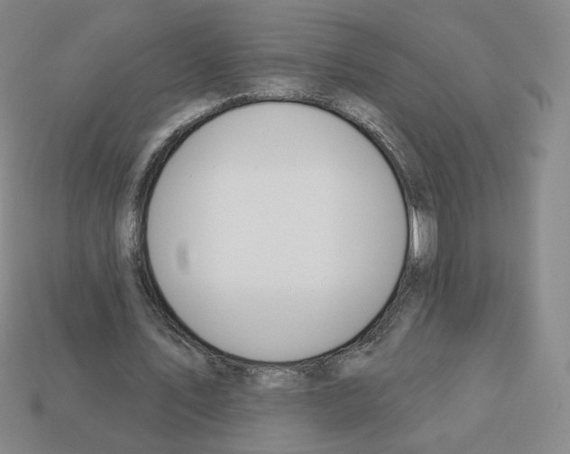 X0000112860579200910021313