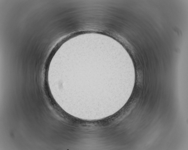 X0000112860580200910021313