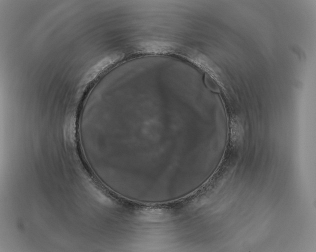 X0000112860581200910021313