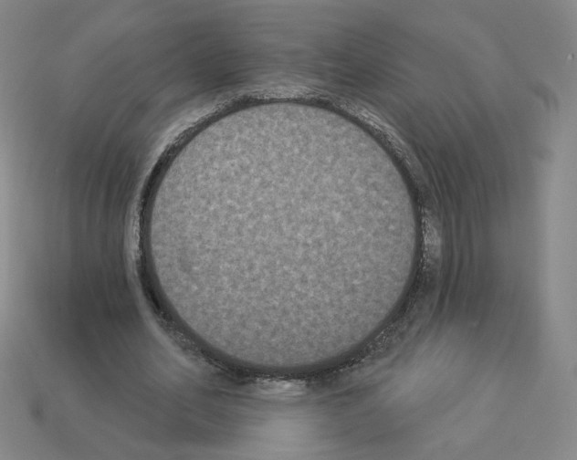 X0000112860582200910021313