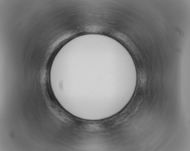 X0000112860583200910021313