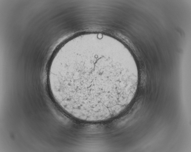 X0000112860584200910021313