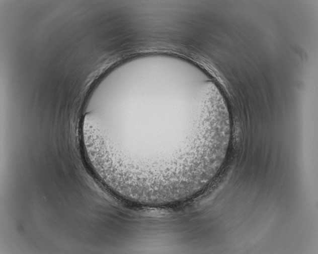 X0000112860585200910021313