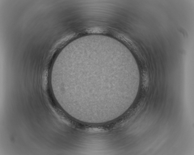 X0000112860586200910021313
