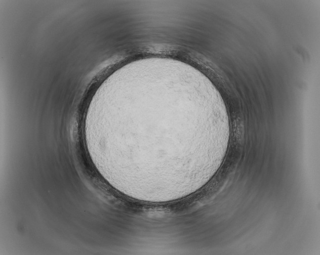 X0000112860587200910021313