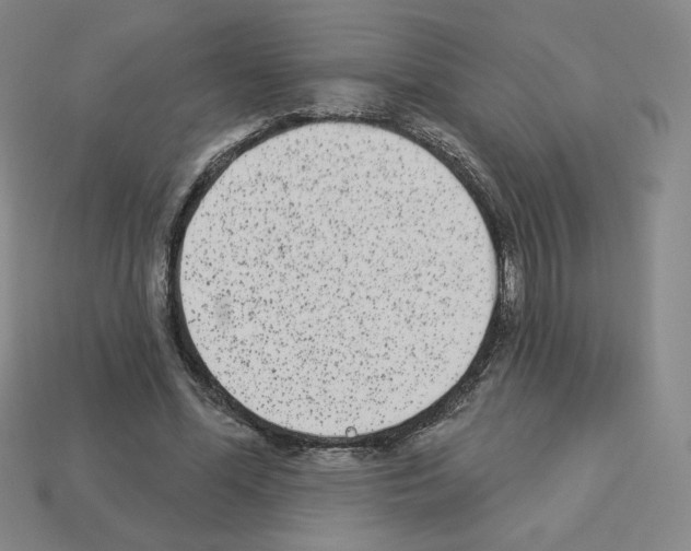 X0000112860588200910021313
