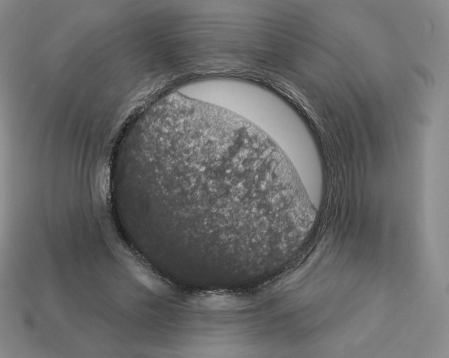 X0000112860589200910021313