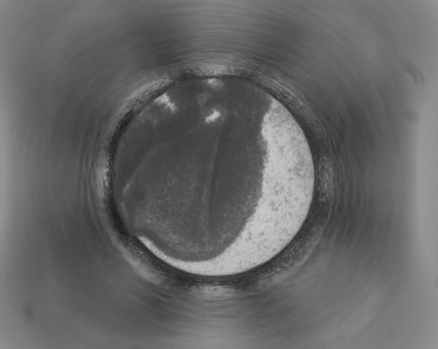 X0000112860590200910021313