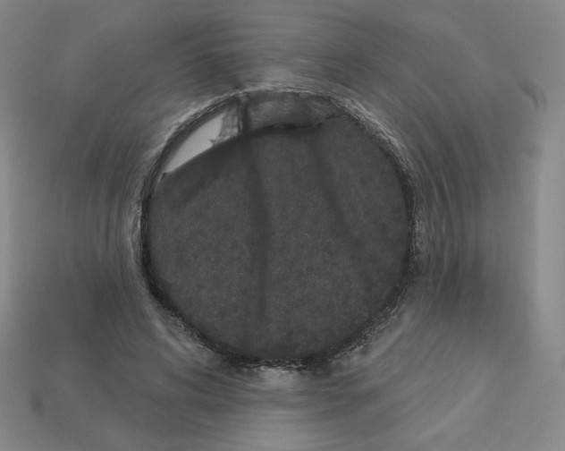 X0000112860592200910021313