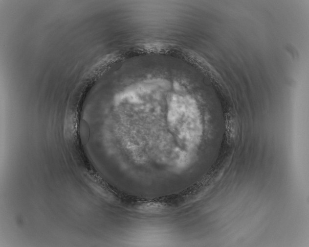 X0000112860593200910021313