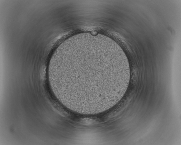 X0000112860596200910021313
