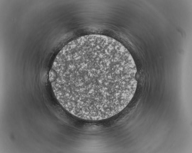 X0000112860597200910021313