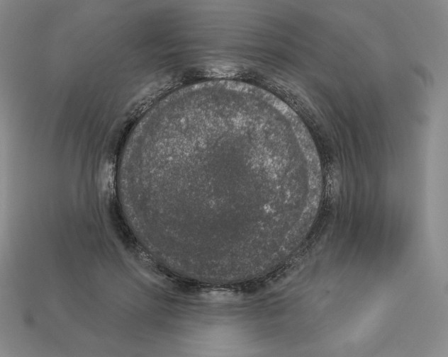 X0000112860598200910021313