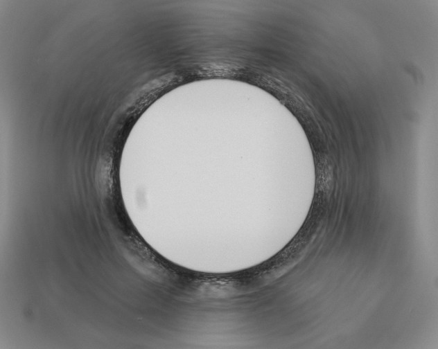 X0000112860599200910021313