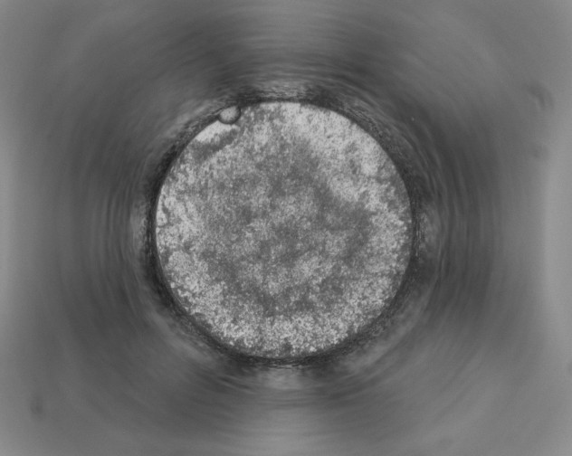 X0000112860600200910021313