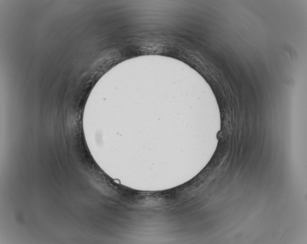 X0000112860601200910021313