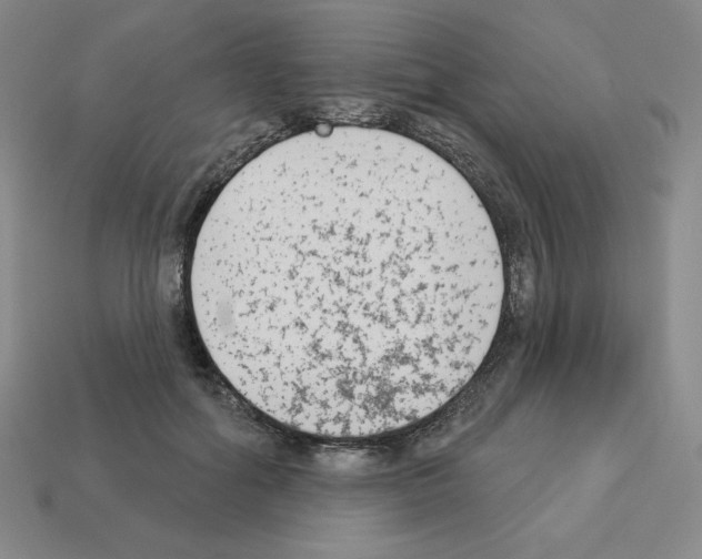 X0000112860602200910021313