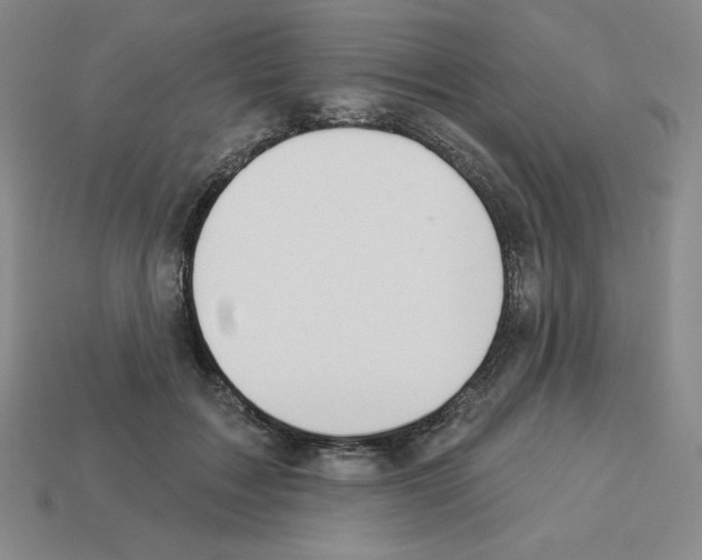 X0000112860603200910021313