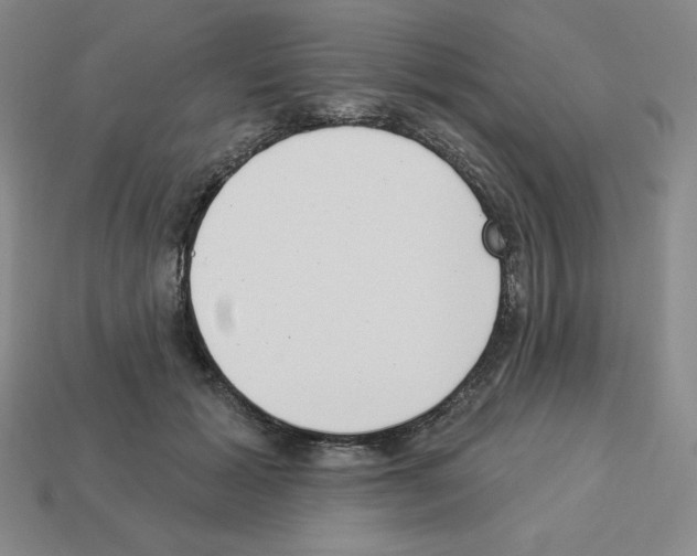 X0000112860605200910021313