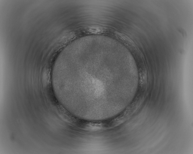 X0000112860606200910021313