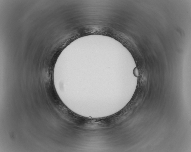X0000112860607200910021313