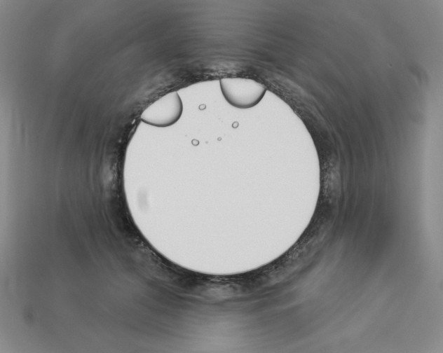 X0000112860608200910021313