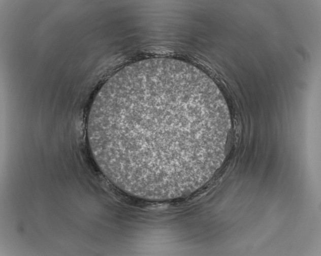 X0000112860609200910021313