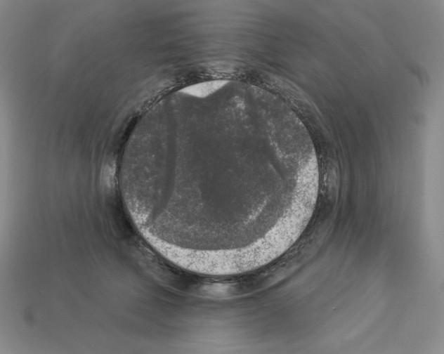 X0000112860610200910021313