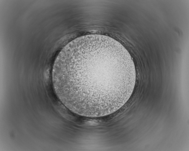X0000112860611200910021313