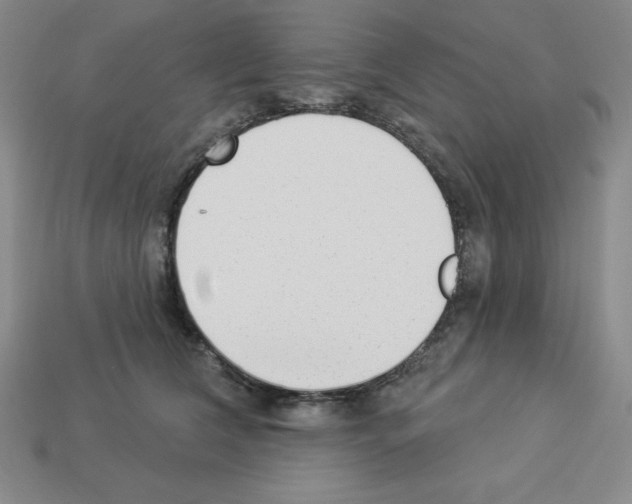 X0000112860612200910021313
