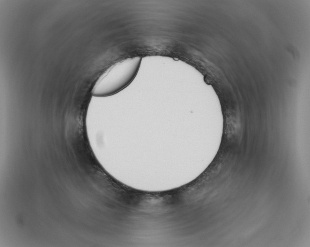 X0000112860613200910021313