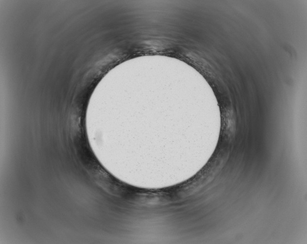 X0000112860615200910021313