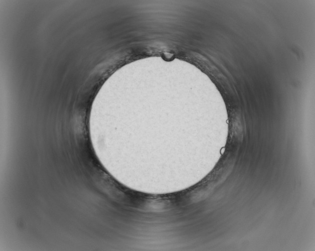 X0000112860616200910021313