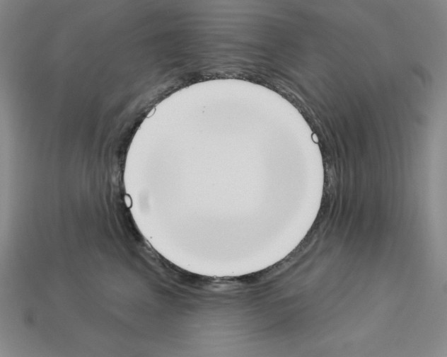X0000112860617200910021313