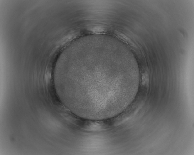 X0000112860618200910021313