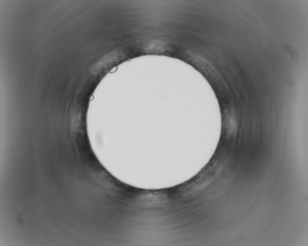 X0000112860619200910021313