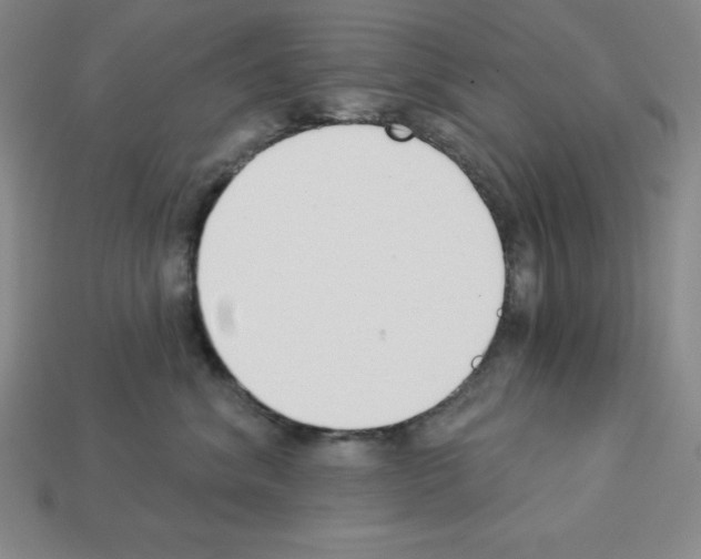 X0000112860620200910021313