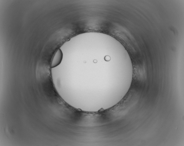 X0000112860621200910021313